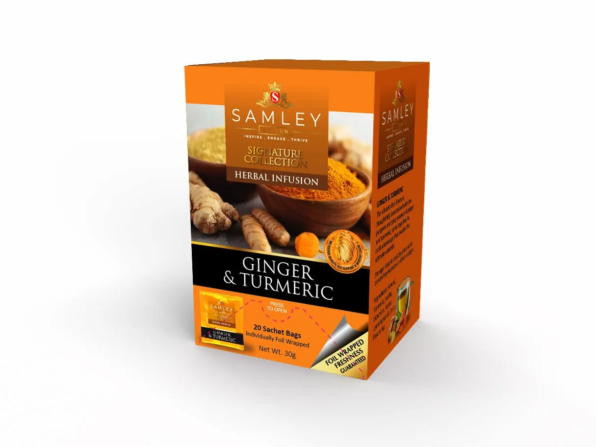 Ginger & Turmeric 20 TB Double Chamber Foiled Envelop (30g)